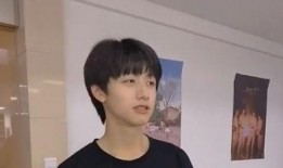 刘大锤爆料朱志鑫视频在线观看,独家在线观看解析